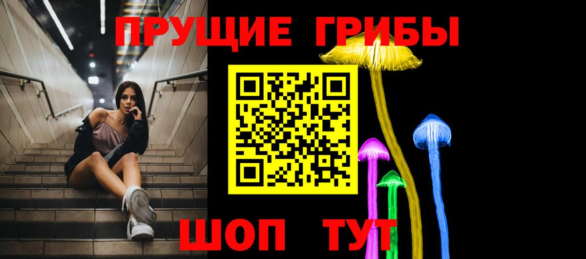 Галлюциногенные грибы Psilocybe Урай